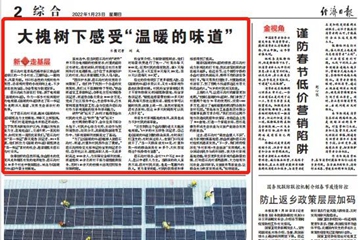 大槐树下感受“温暖的味道”