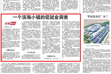 一个滨海小镇的促就业调查